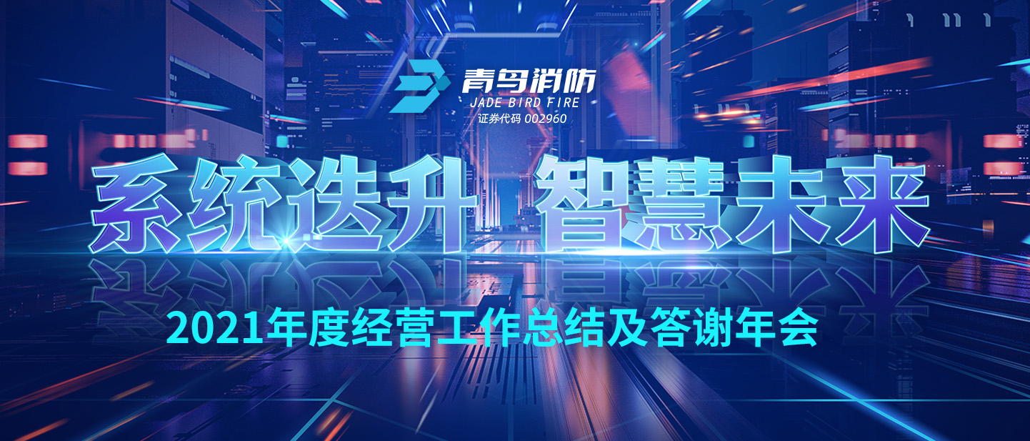 系统迭升 智慧将来 | 2021年度经营工作总结及答谢年会